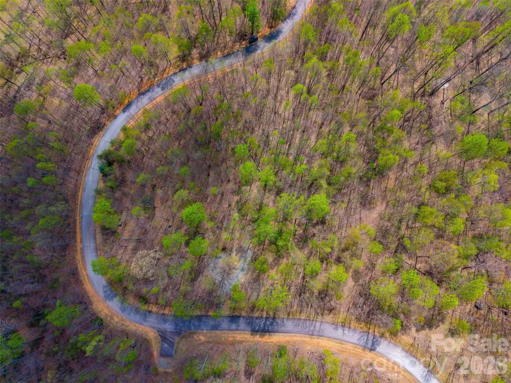 Lot 196 Cherry Hill #196 Mill Spring, NC 28756