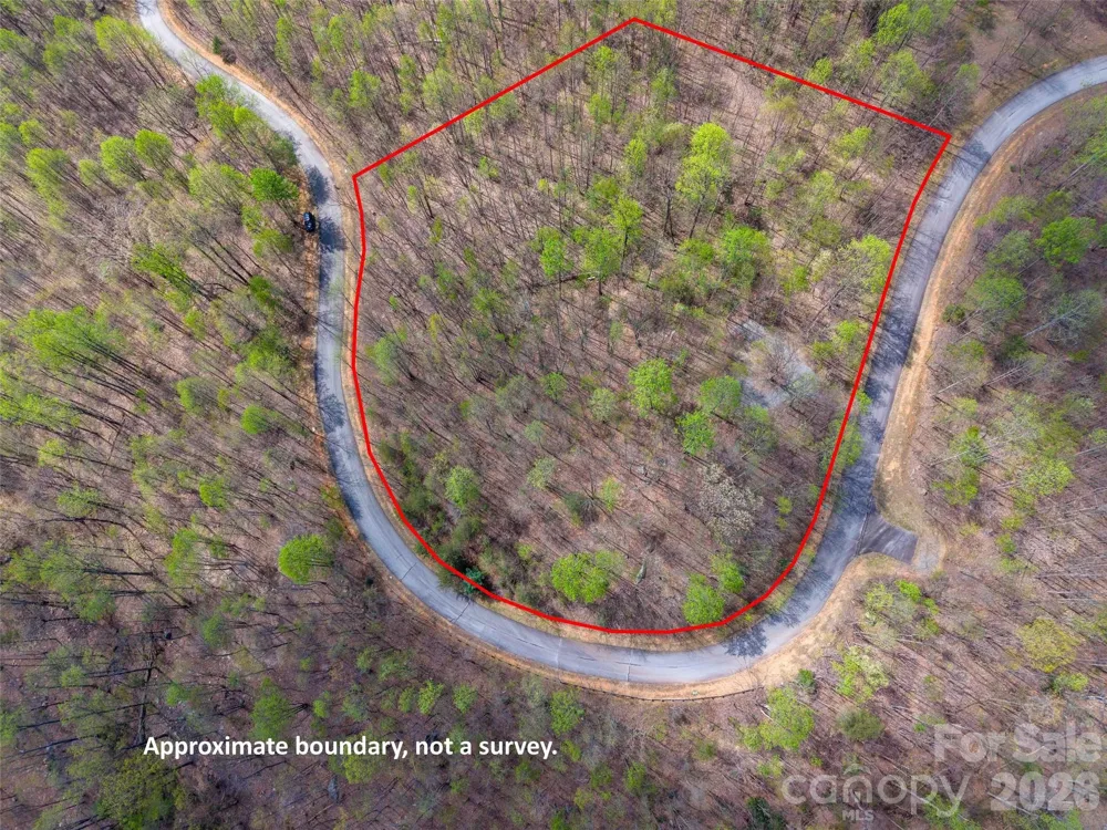 Lot 196 Cherry Hill #196 Mill Spring, NC 28756