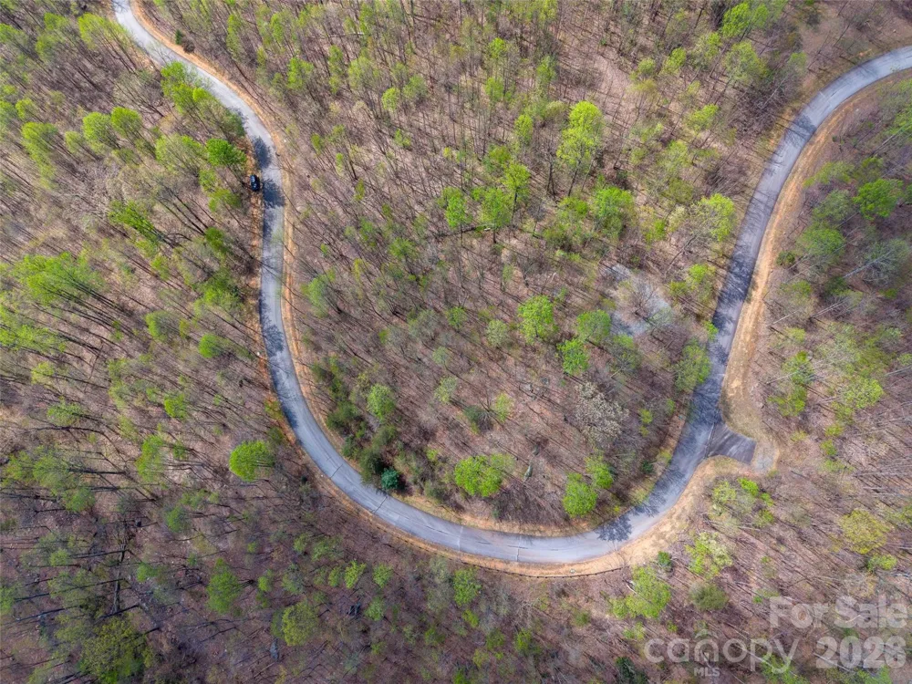 Lot 196 Cherry Hill #196 Mill Spring, NC 28756