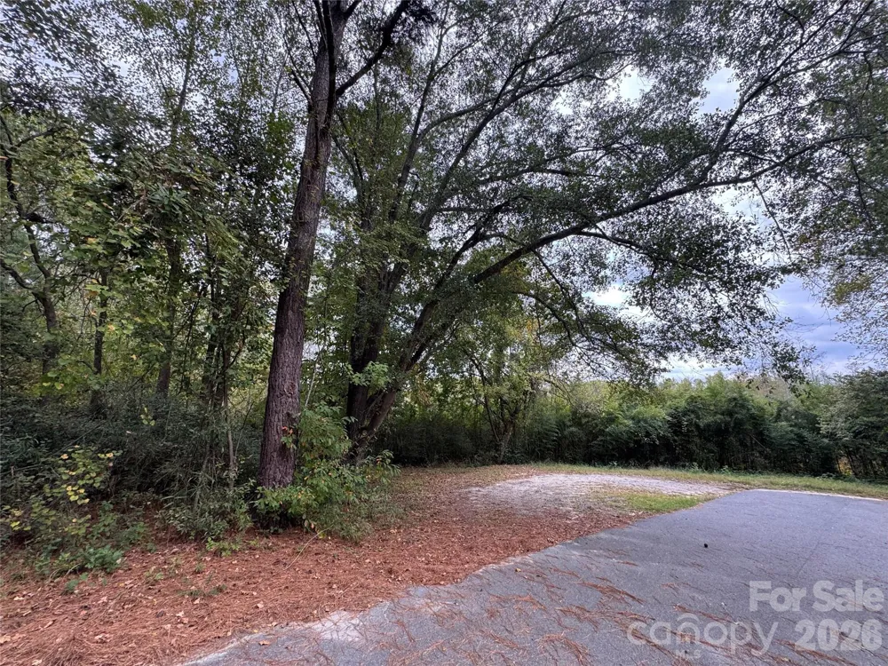 00 ellen Drive Hamlet, NC 28345