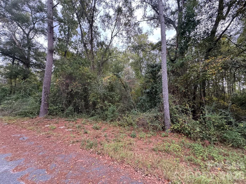 00 ellen Drive Hamlet, NC 28345