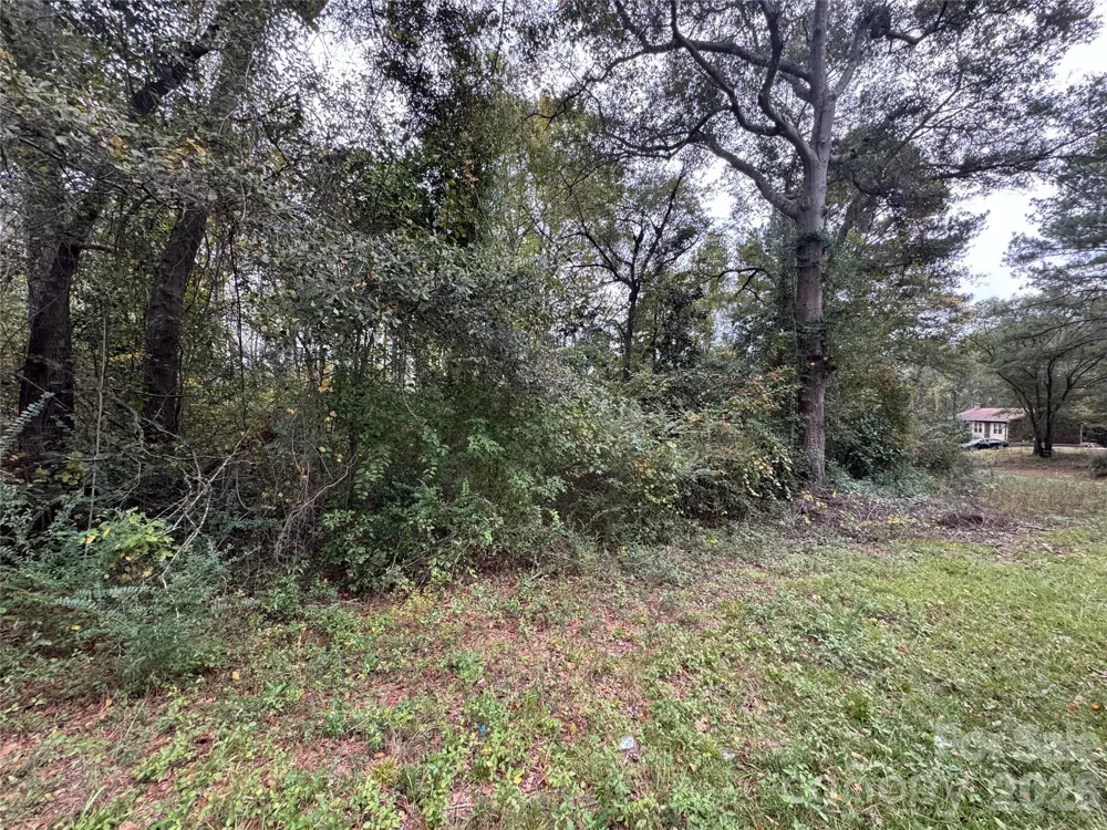 00 ellen Drive Hamlet, NC 28345