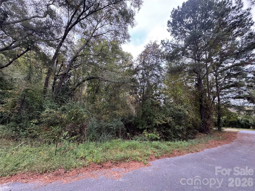00 ellen Drive Hamlet, NC 28345