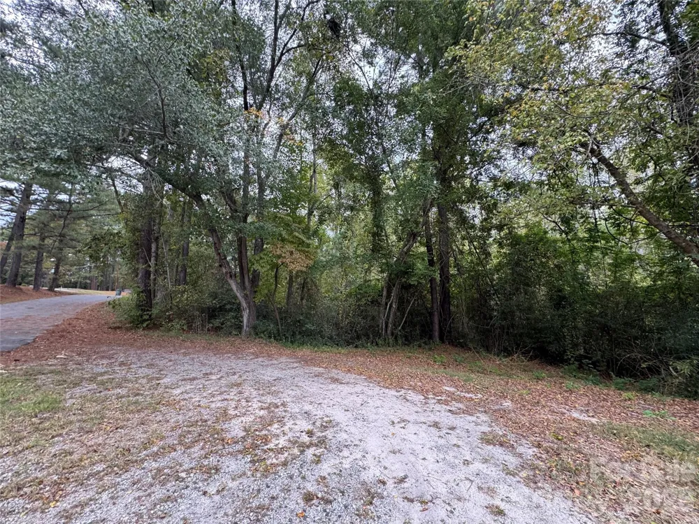 00 ellen Drive Hamlet, NC 28345