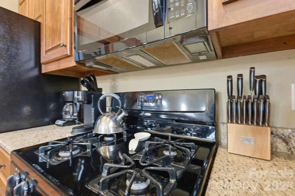 150 Saddle Notch Lane #Unit A-1 Tuckasegee, NC 28783