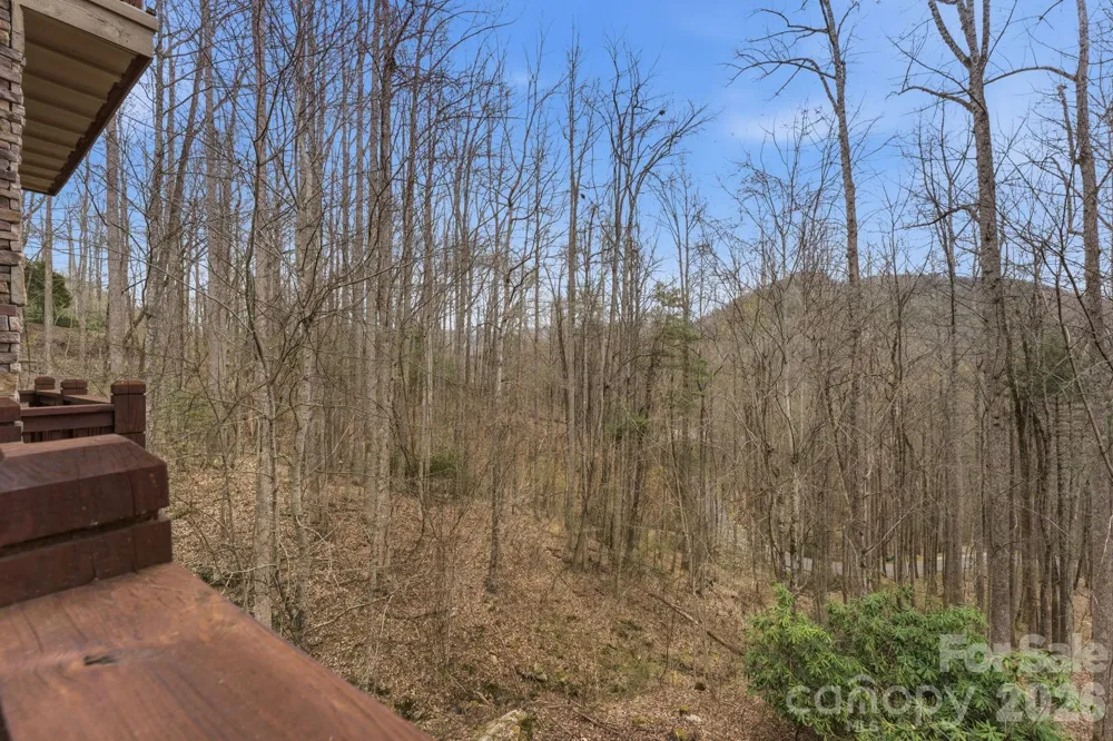 150 Saddle Notch Lane #Unit A-1 Tuckasegee, NC 28783
