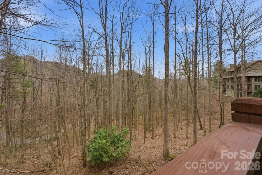 150 Saddle Notch Lane #Unit A-1 Tuckasegee, NC 28783