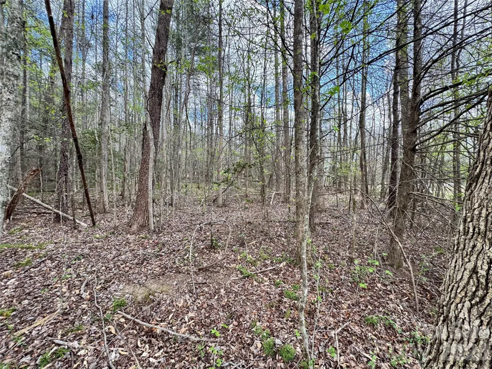 101 Autumn Leaves Way Marietta, SC 29661