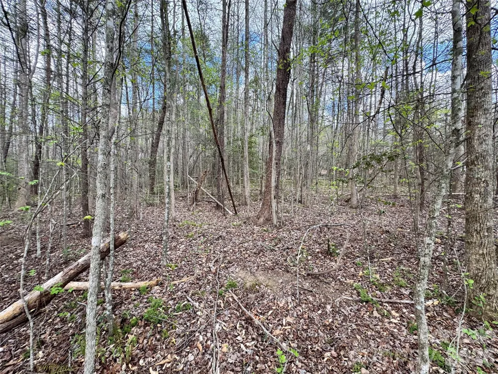 101 Autumn Leaves Way Marietta, SC 29661