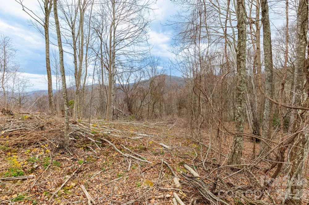 11 Chandra Lane Clyde, NC 28721