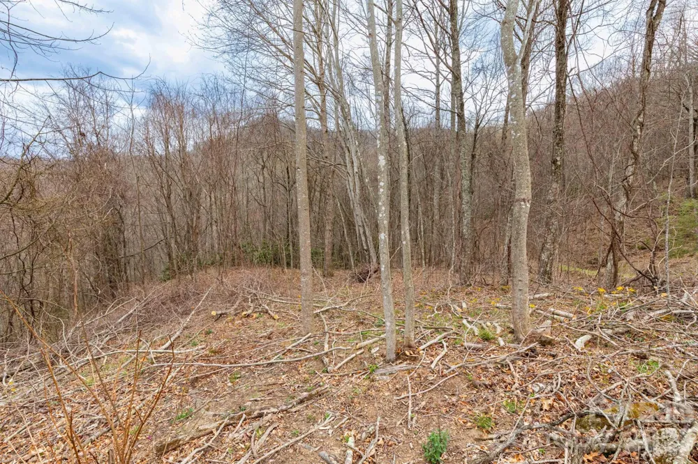 11 Chandra Lane Clyde, NC 28721
