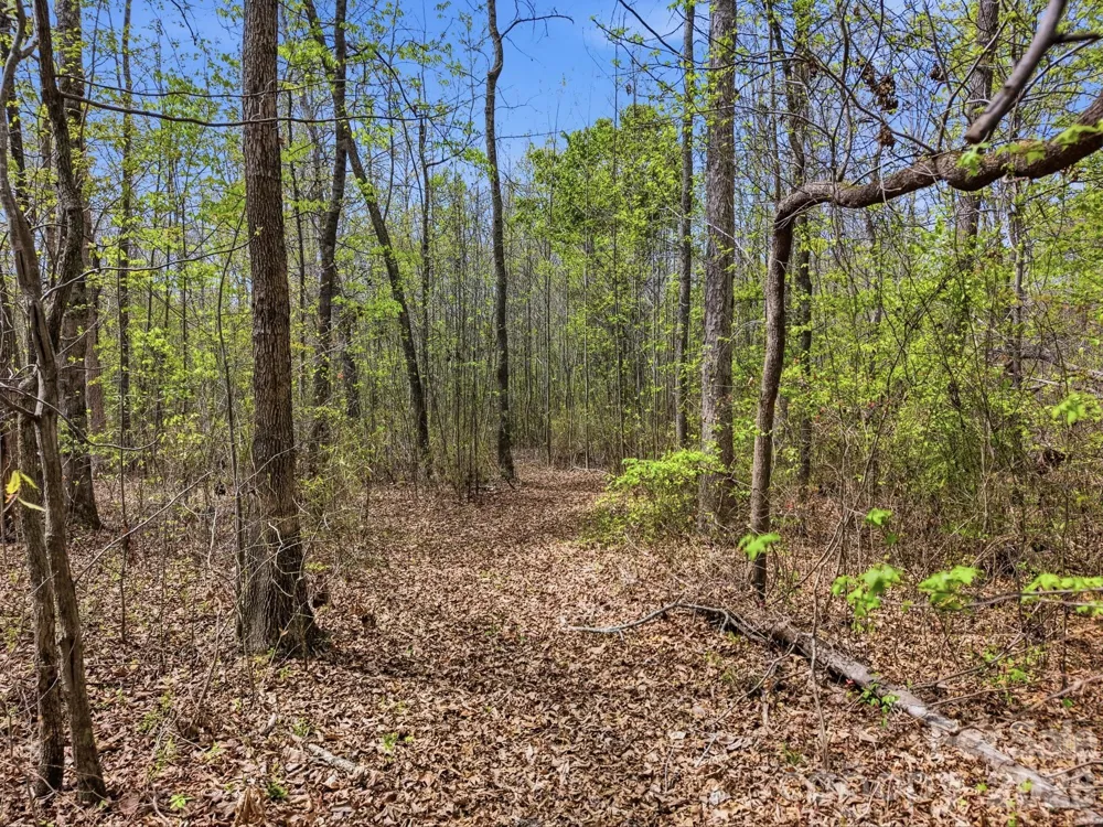 00 County Line Road Kings Mountain, NC 28086