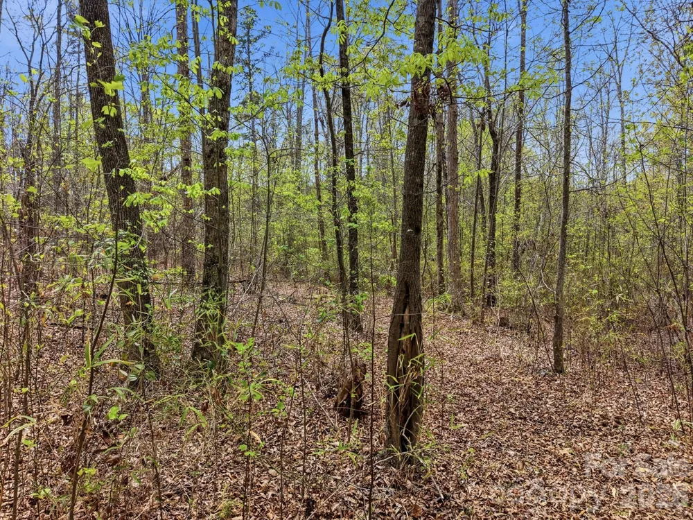 00 County Line Road Kings Mountain, NC 28086