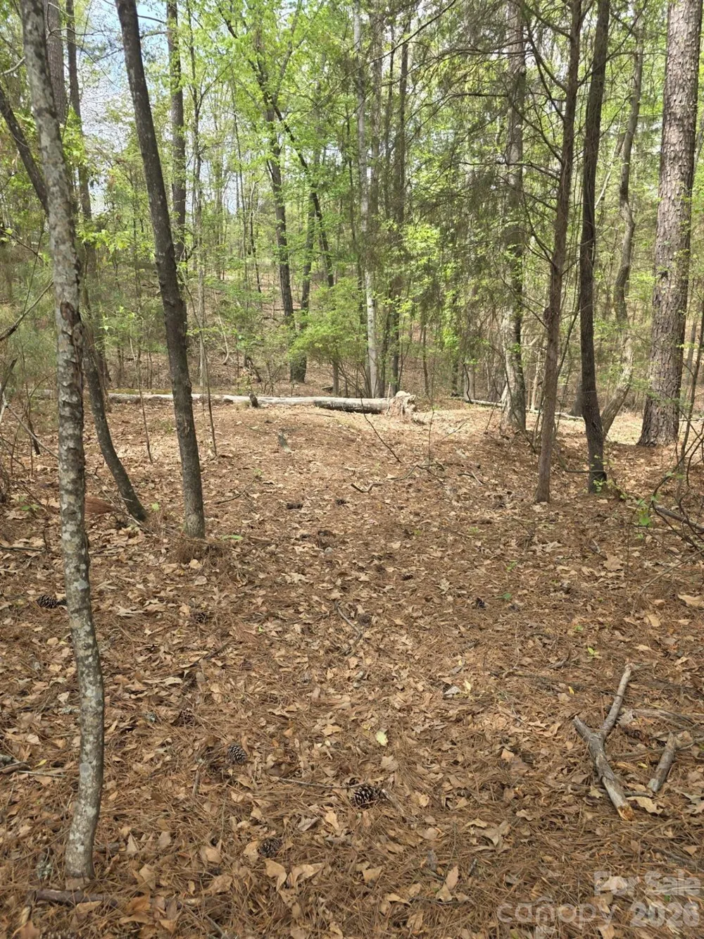 2093 Lometa Road York, SC 29745