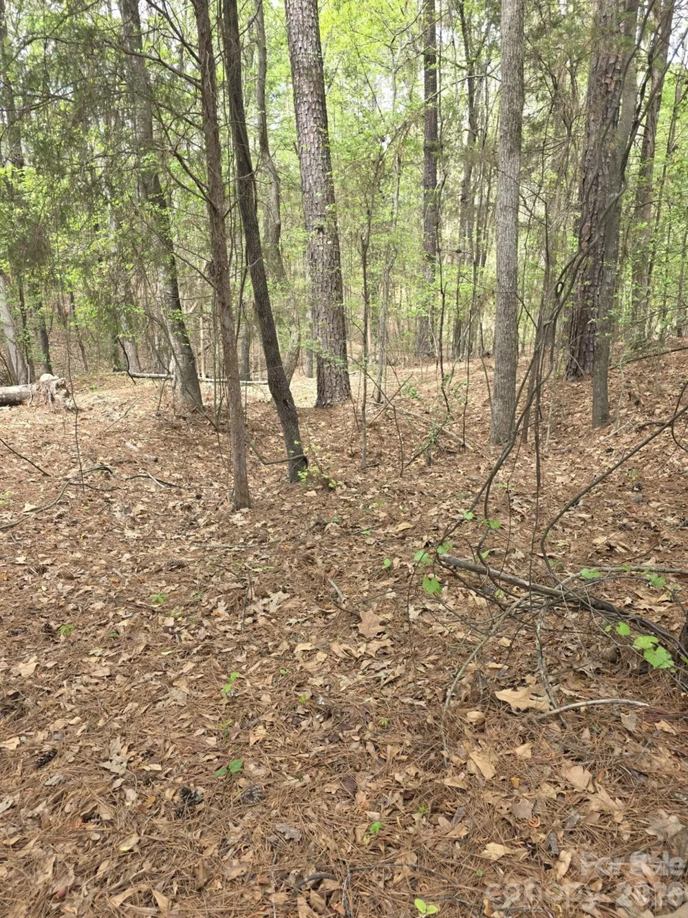 2093 Lometa Road York, SC 29745