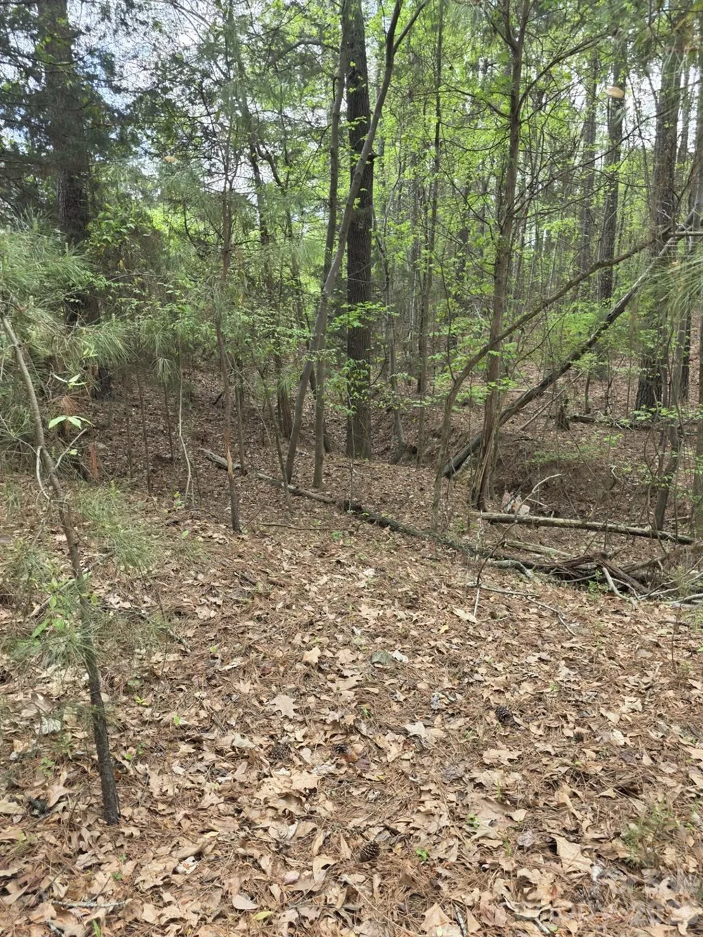 2093 Lometa Road York, SC 29745