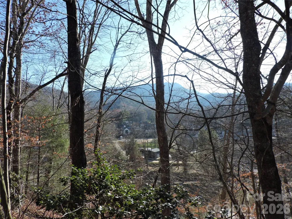 10 Whitman Lane #41 Black Mountain, NC 28711