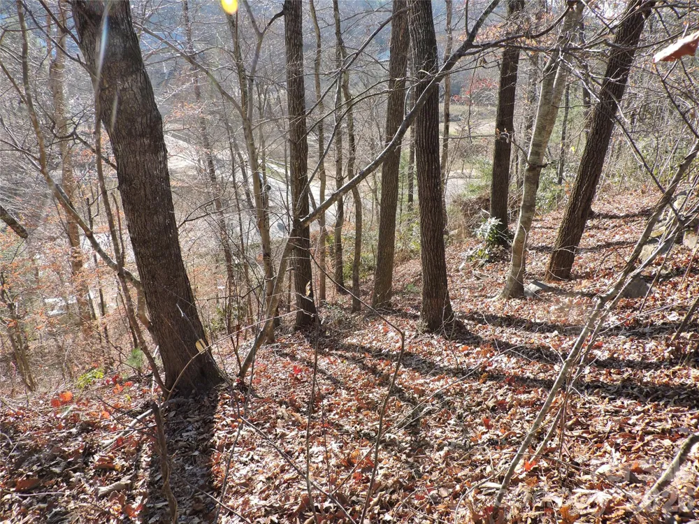 10 Whitman Lane #41 Black Mountain, NC 28711