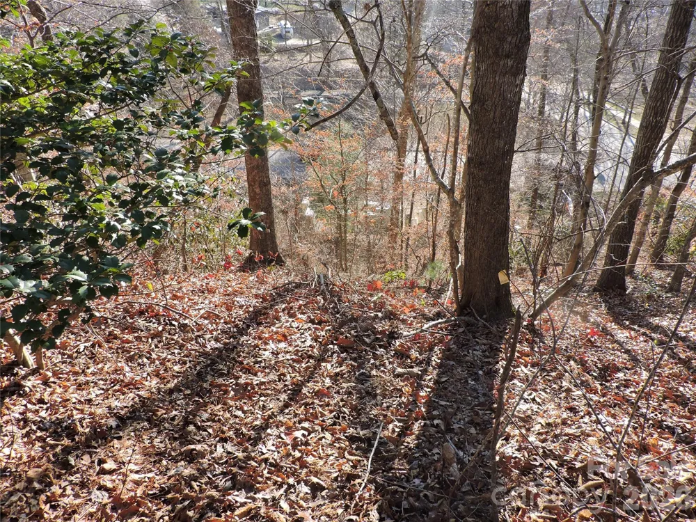 10 Whitman Lane #41 Black Mountain, NC 28711