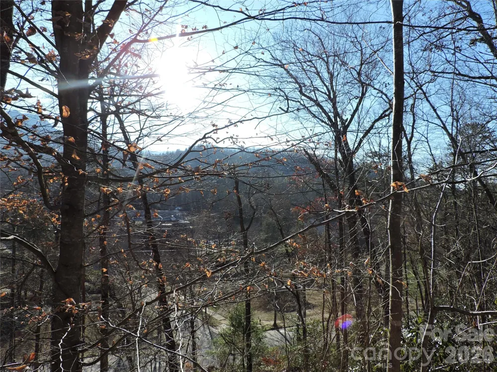 10 Whitman Lane #41 Black Mountain, NC 28711