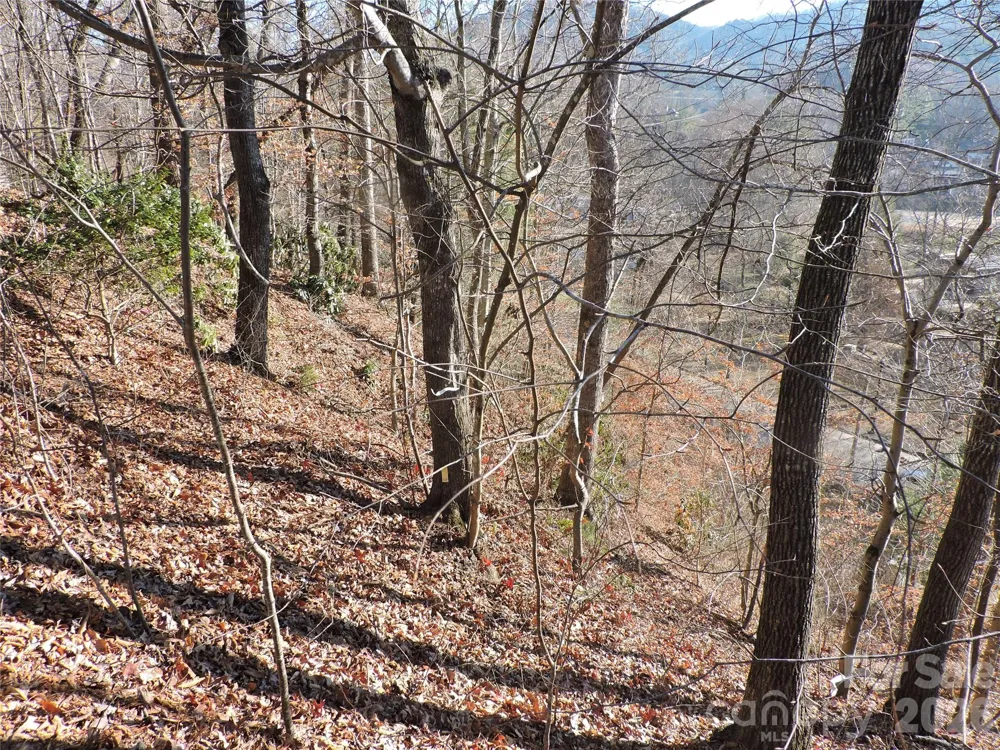 10 Whitman Lane #41 Black Mountain, NC 28711