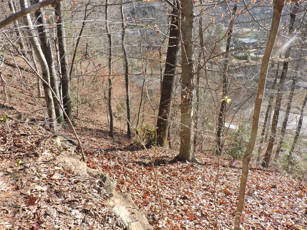 10 Whitman Lane #41 Black Mountain, NC 28711