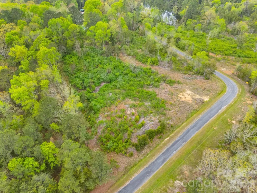 TBD Springwood Lakes Road Chester, SC 29706