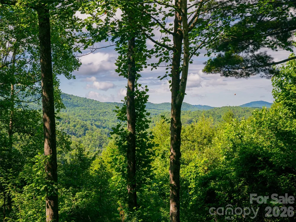 935 Whites Lake Boulevard Saluda, NC 28773