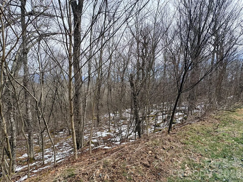Lot 6 Chappell Farm North Banner Elk, NC 28604