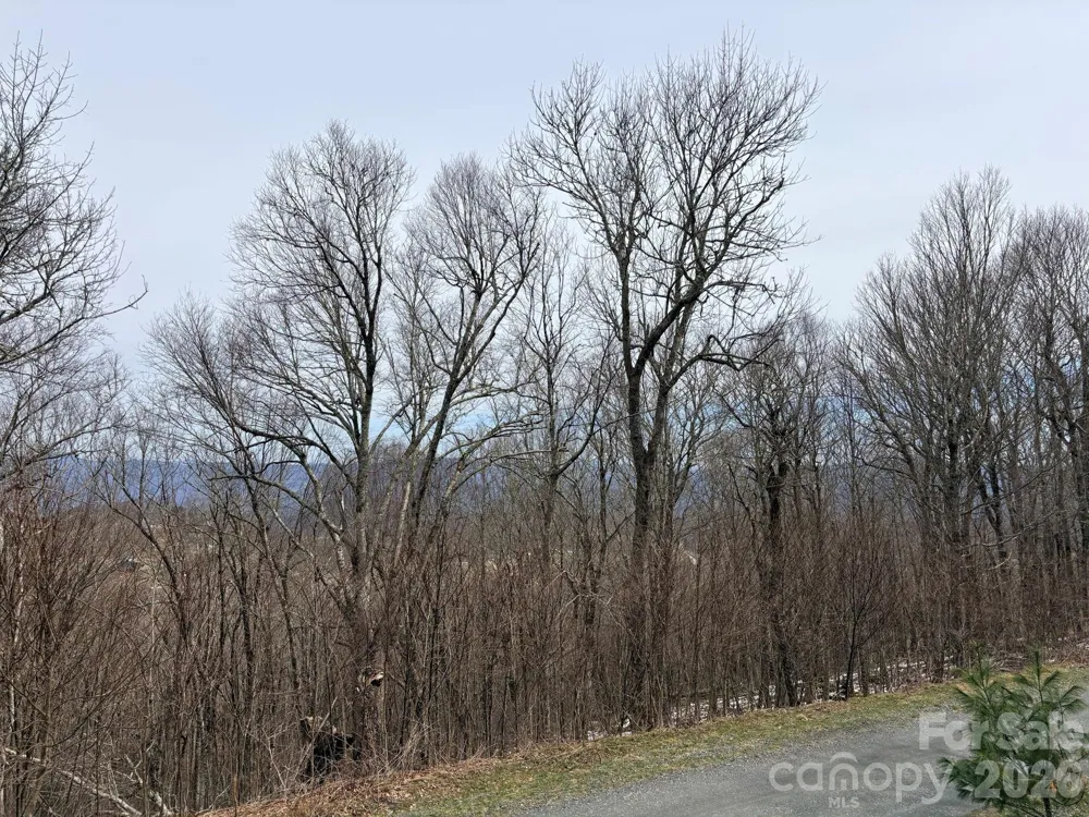 Lot 7 Chappell Farm North Banner Elk, NC 28604