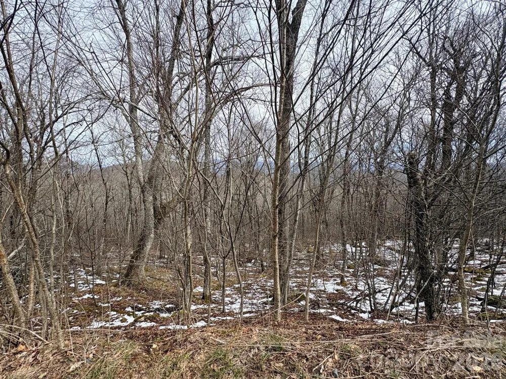 Lot 7 Chappell Farm North Banner Elk, NC 28604