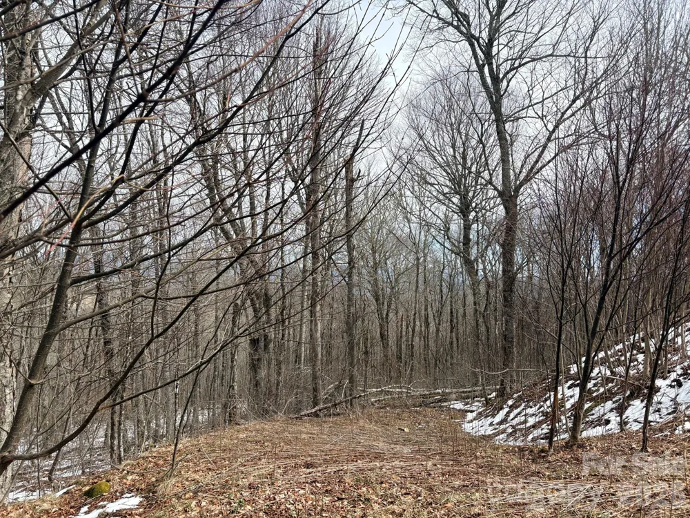 Lot 5 Chappell Farm North Banner Elk, NC 28604