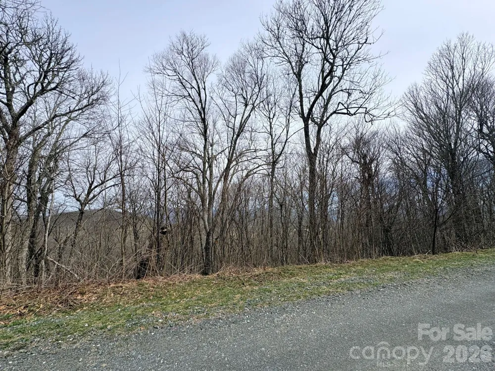 Lot 5 Chappell Farm North Banner Elk, NC 28604