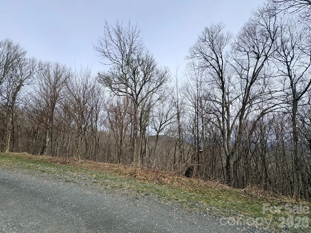 Lot 5 Chappell Farm North Banner Elk, NC 28604