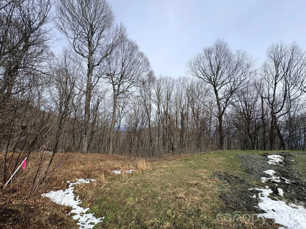 Lot 5 Chappell Farm North Banner Elk, NC 28604