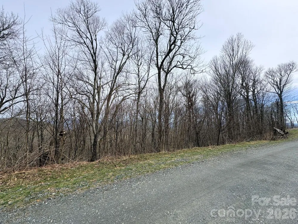 Lot 5 Chappell Farm North Banner Elk, NC 28604