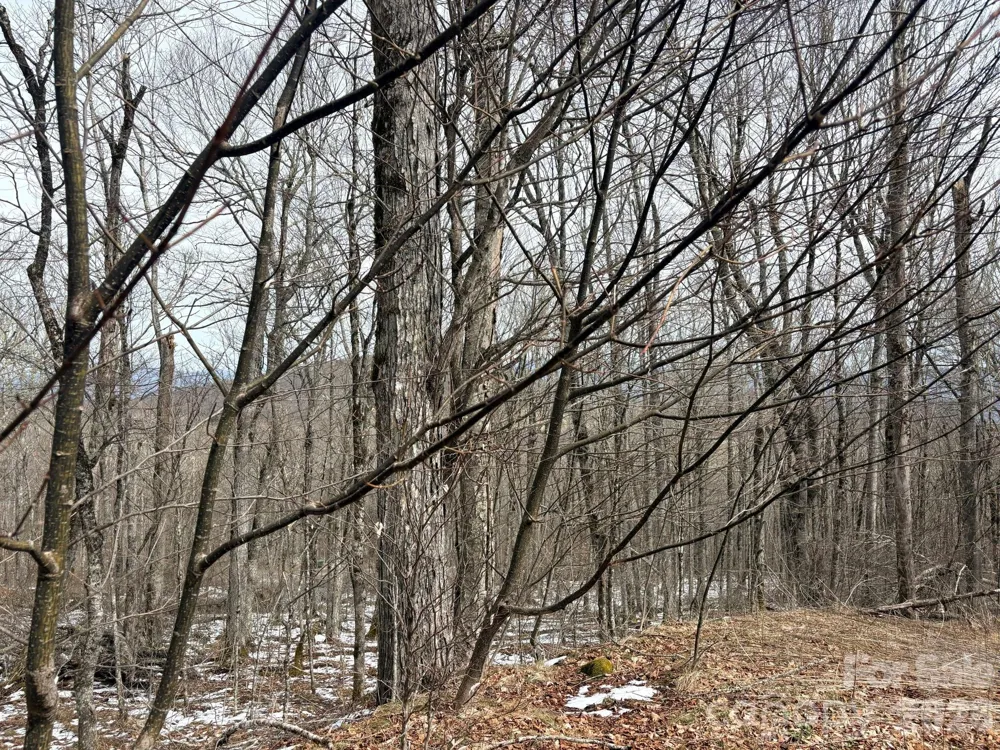 Lot 5 Chappell Farm North Banner Elk, NC 28604