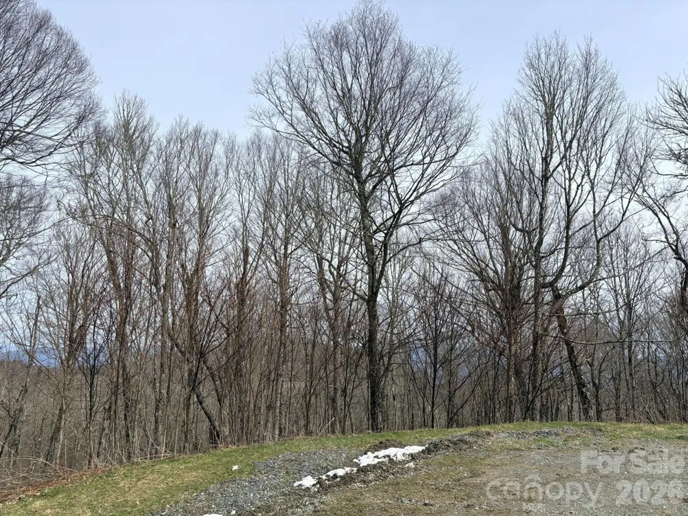 Lot 5 Chappell Farm North Banner Elk, NC 28604