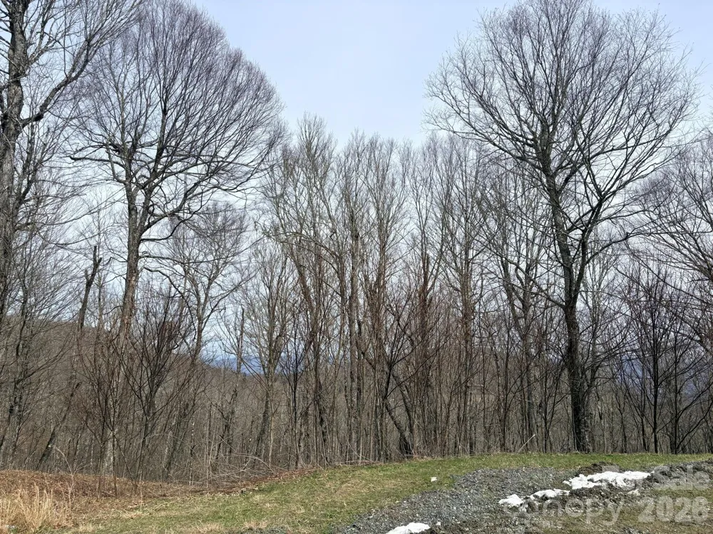 Lot 5 Chappell Farm North Banner Elk, NC 28604