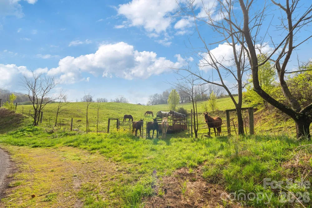 618 Beaverdam Street Canton, NC 28716
