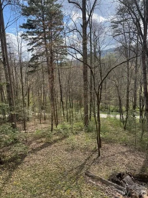 315 River Road Sylva, NC 28779