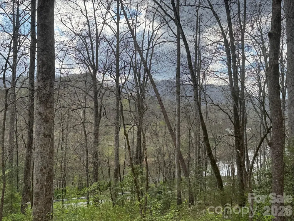 315 River Road Sylva, NC 28779