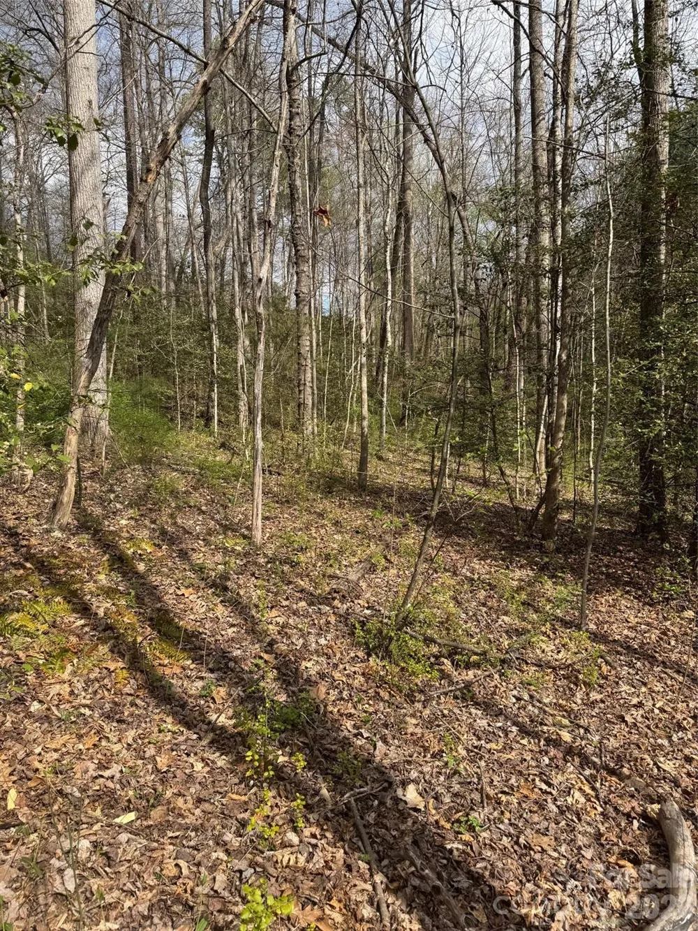 315 River Road Sylva, NC 28779