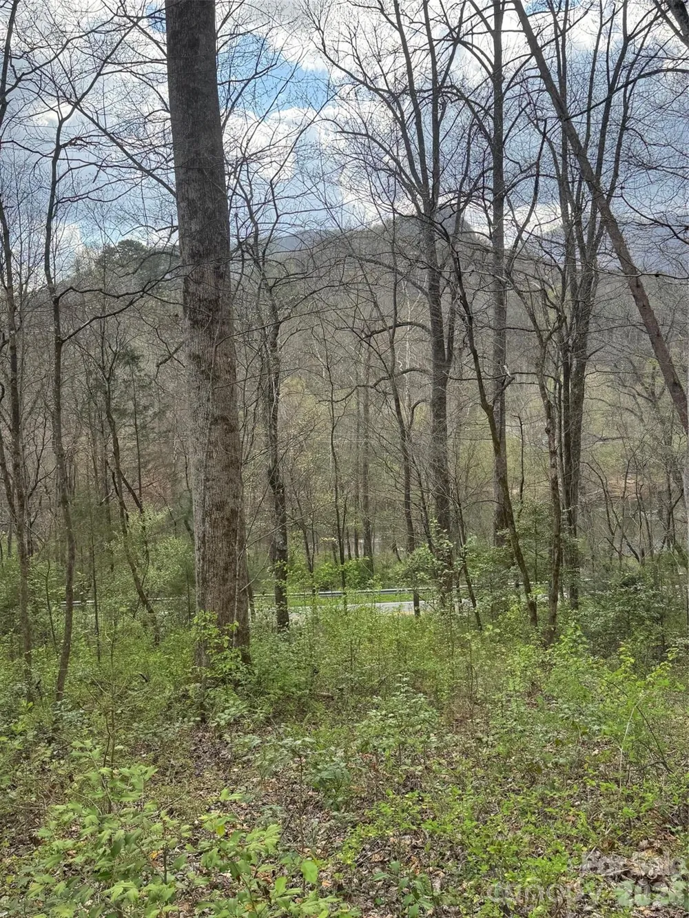 315 River Road Sylva, NC 28779