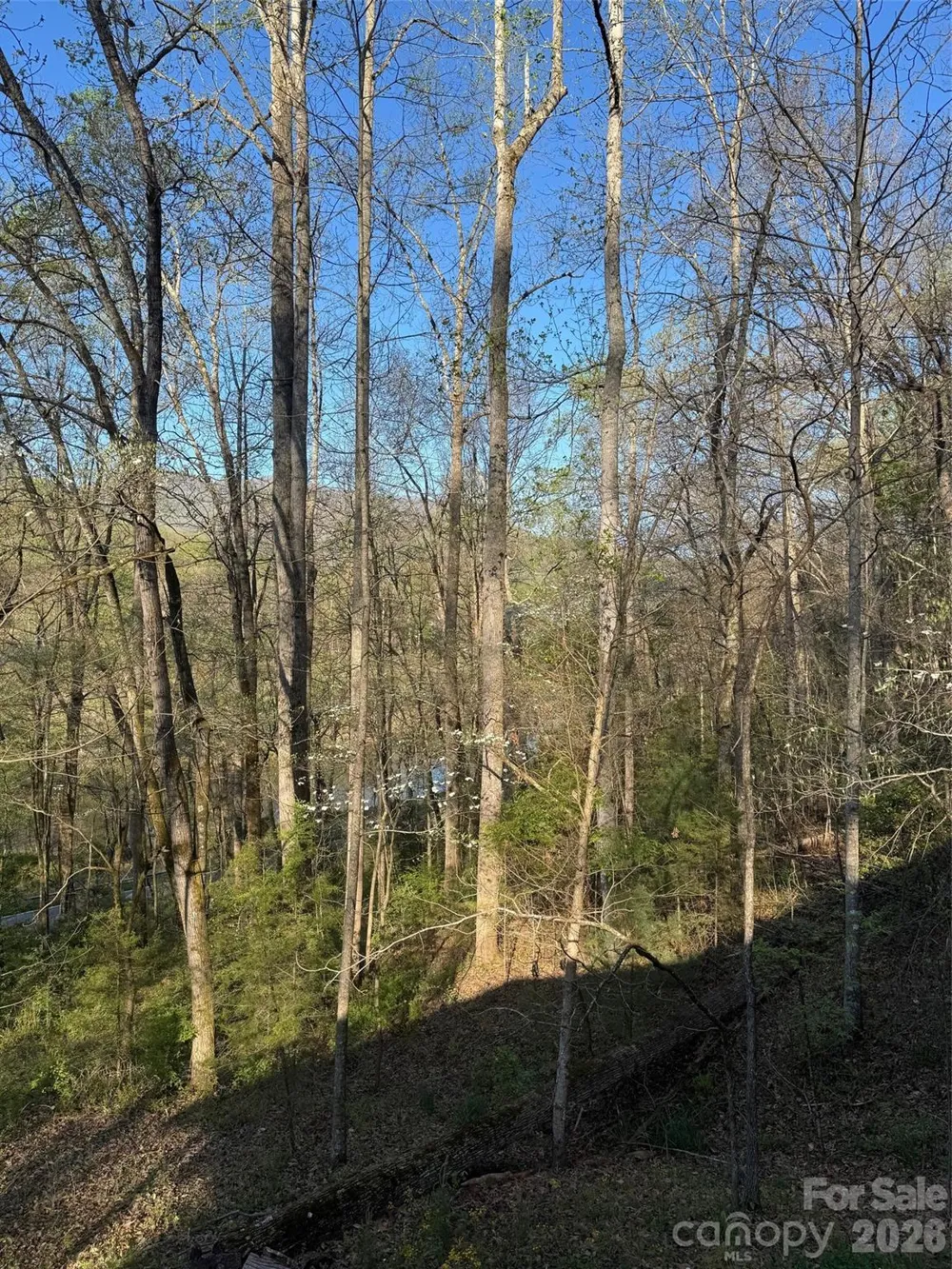 315 River Road Sylva, NC 28779