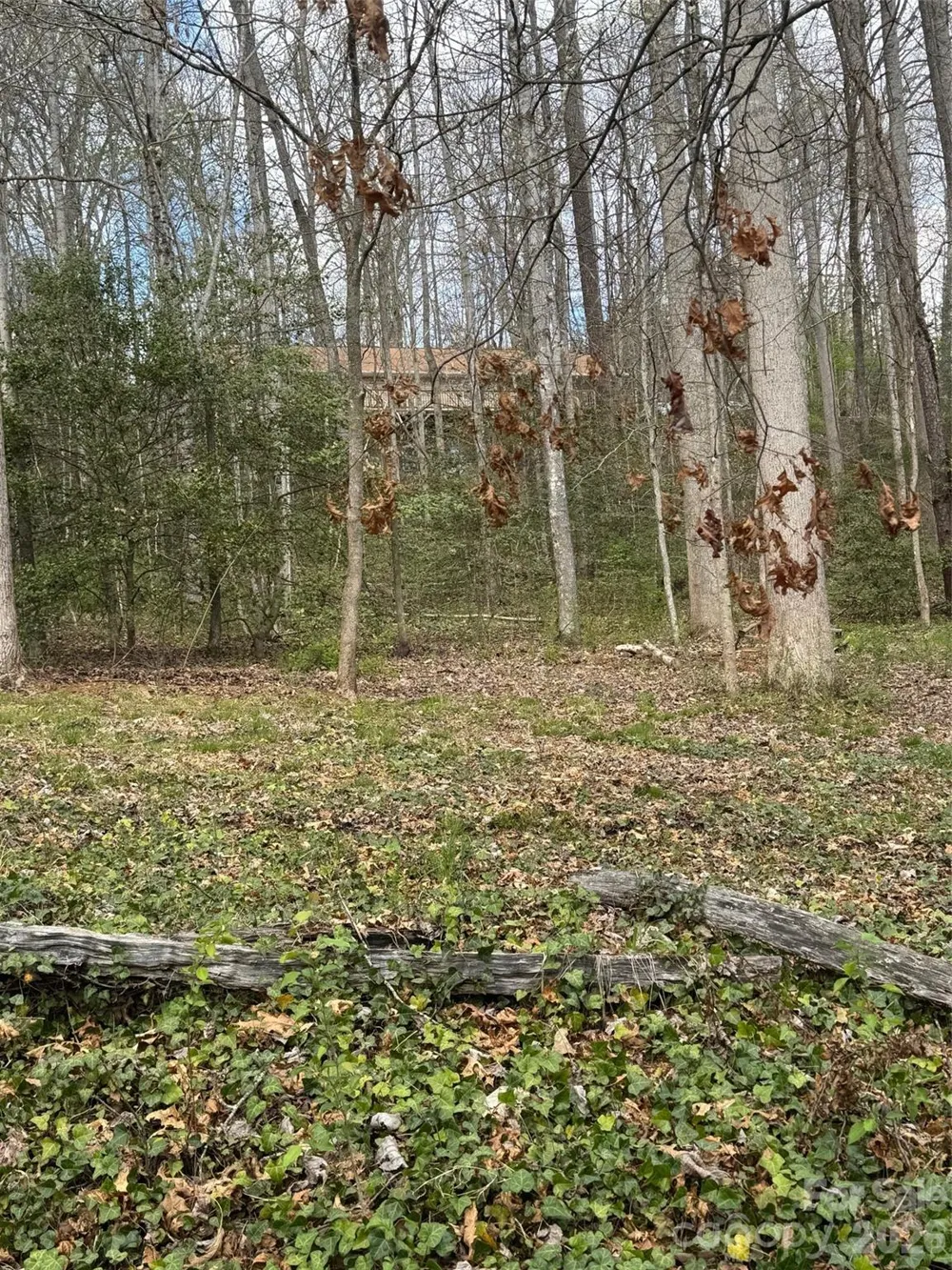 315 River Road Sylva, NC 28779
