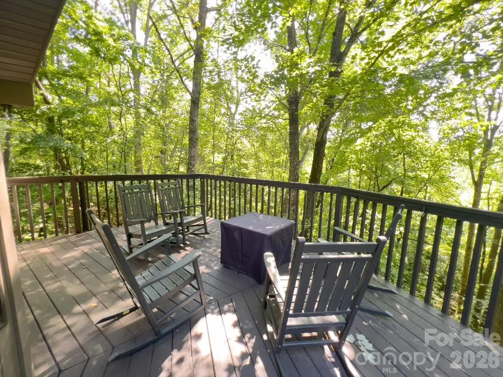 394 Jonathan Lane Lake Lure, NC 28746