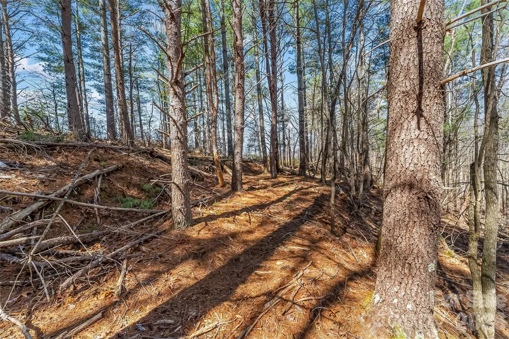 121 Lake Crest Drive #lot 37 & 36 Nebo, NC 28761