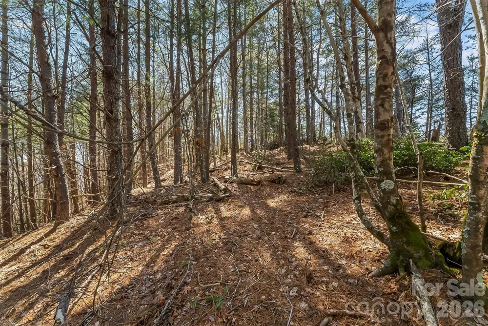 121 Lake Crest Drive #lot 37 & 36 Nebo, NC 28761