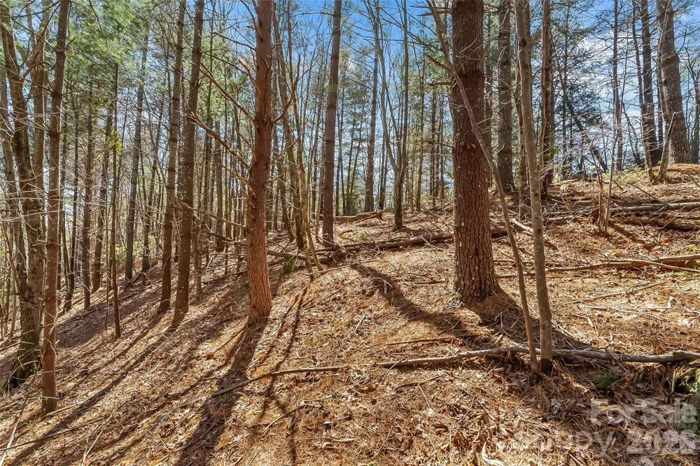 121 Lake Crest Drive #lot 37 & 36 Nebo, NC 28761